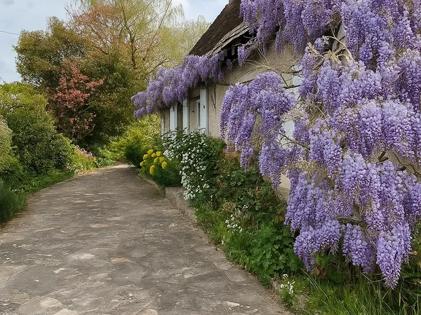 Vends maison 235m² 