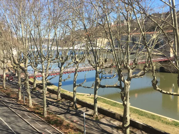 LYON T3 Vue Saône proche métro 