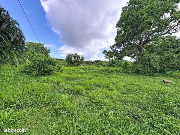 Terrain 1656 m² Trinité 