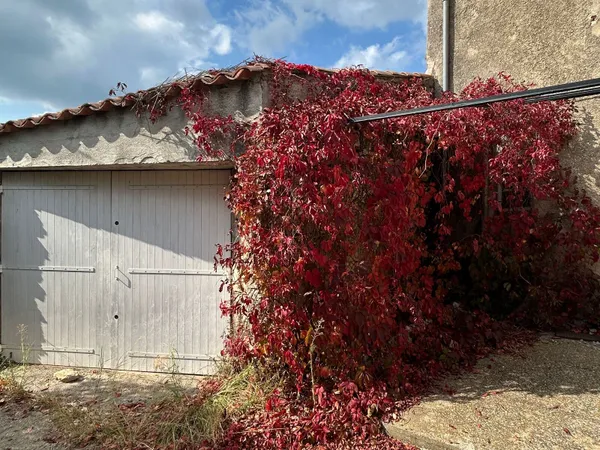 Maison 1 pièce 400 m² 