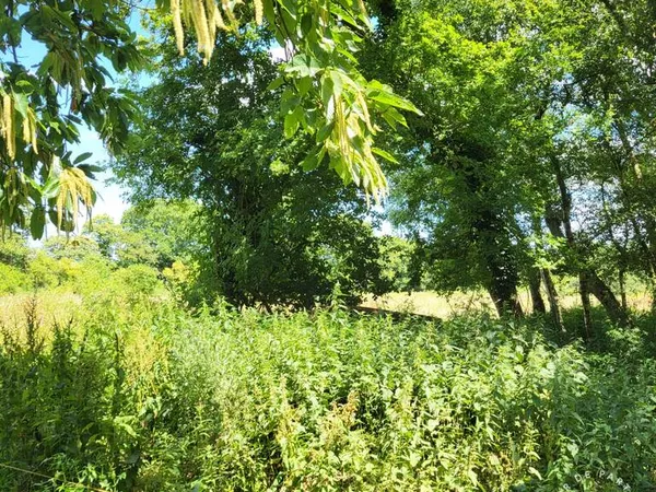 Terrain Vente Bernesq   180000€