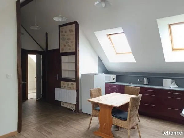 Loft 1 pièce 30 m² 