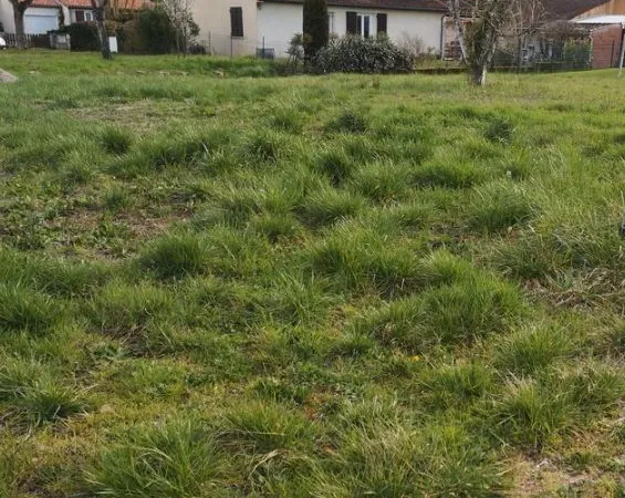 À saisir Terrain de 490 m² 