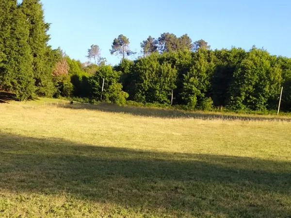 Terrain à bâtir à Sarlat la Canéda 