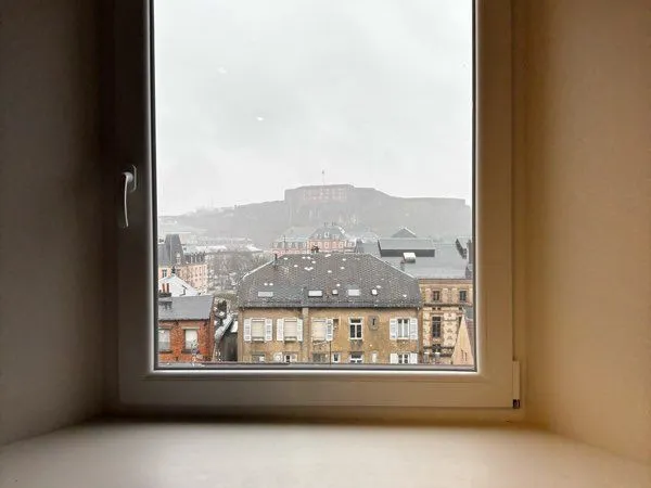 Appartement T2 40 m² - Rue Pietonne - Vue sur Lion 