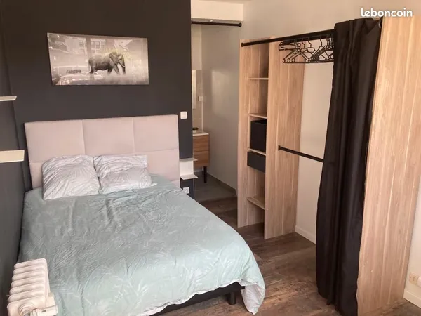 Chambre en colocation avec salle de bain privative / Hypercentre 