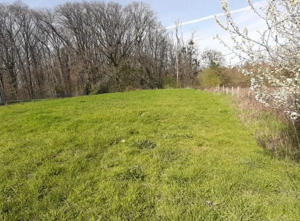 Terrain 313 m² Saint Saturnin 