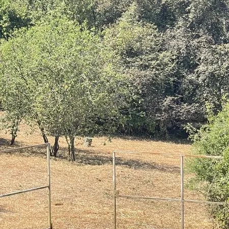 Terrain 1329 m² Le Fousseret 