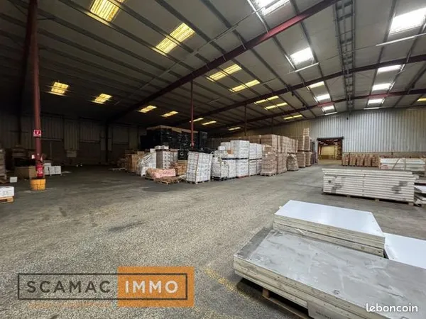 Local commercial 3000 m² 