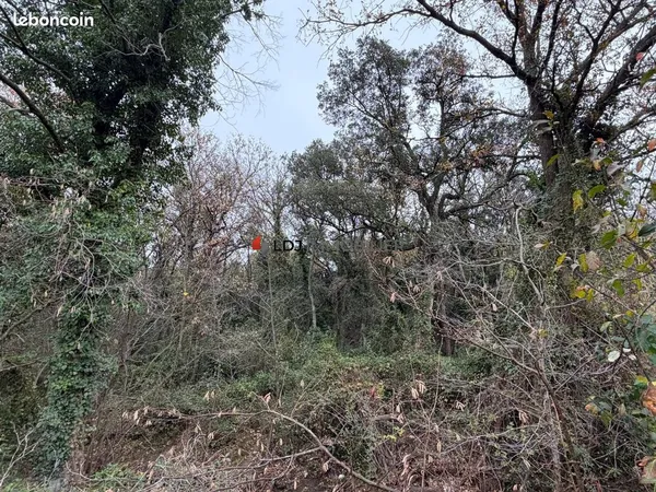Terrain 17246 m² Laroque-des-Albères 