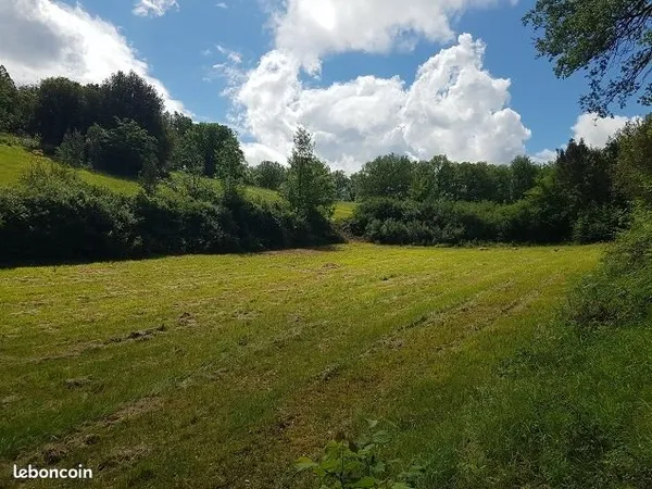 Terrain de 22 hectares avec ruine de pierre