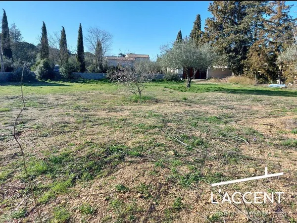 Terrain 981 m² 