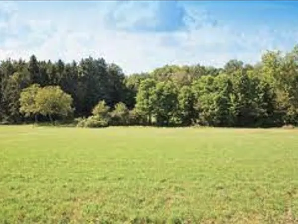 Terrain 402 m² 