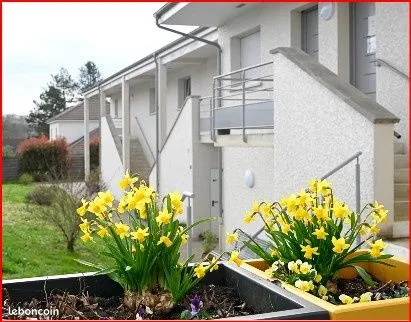 Appartement 1 pièce 25 m² 