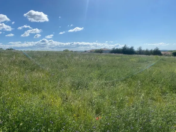 Terrain 450 m² 