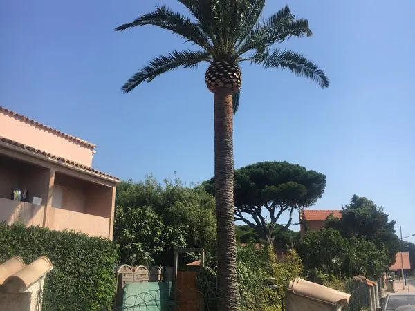 Triplex 3 pièces 49 m² 