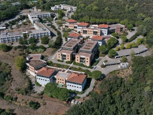 Bureaux 911 m² 