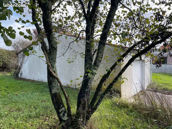 Terrain 653 m² ECHILLAIS 