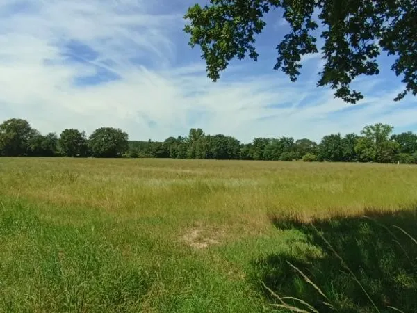 Terrain 700 m² 