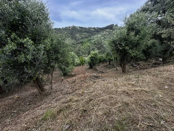 Propriété 148 m² 