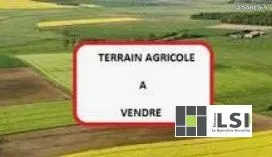 Terrain 16910 m² Laussonne 