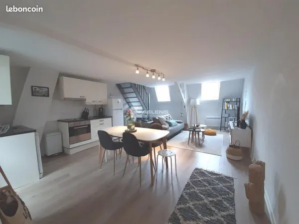 Duplex 2 pièces 48 m² 