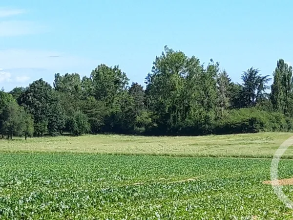 Terrain 517 m² 