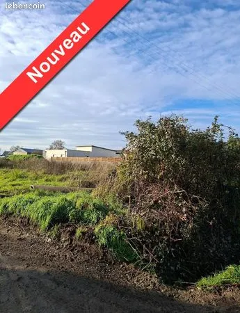Terrain 1000 m² 