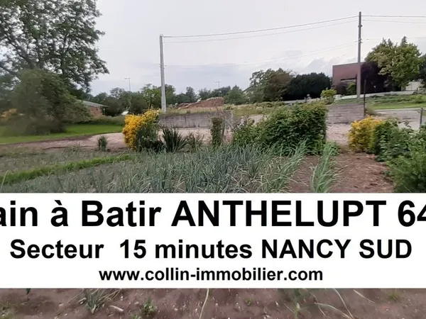Terrain 640 m² Anthelupt 
