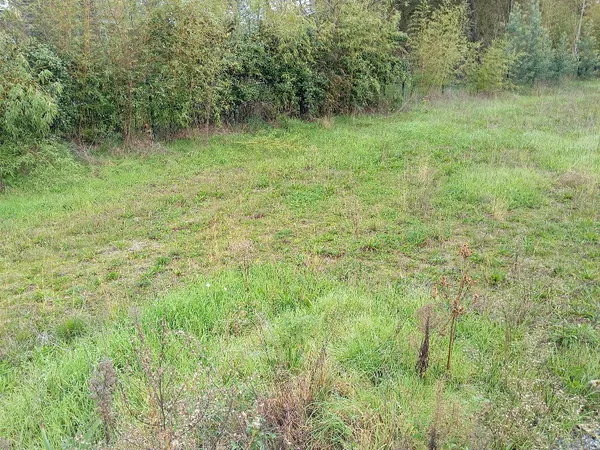 Terrain 425 m² 