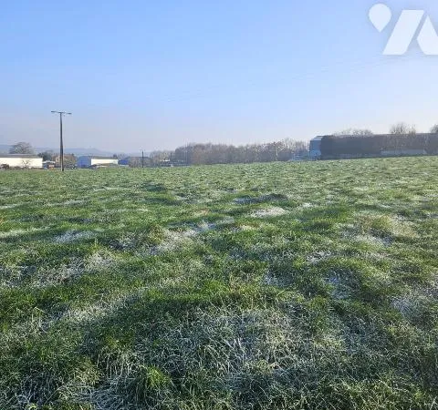 Terrain 1195 m² 