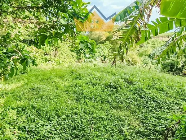 Terrain 1995 m² Le Lorrain 