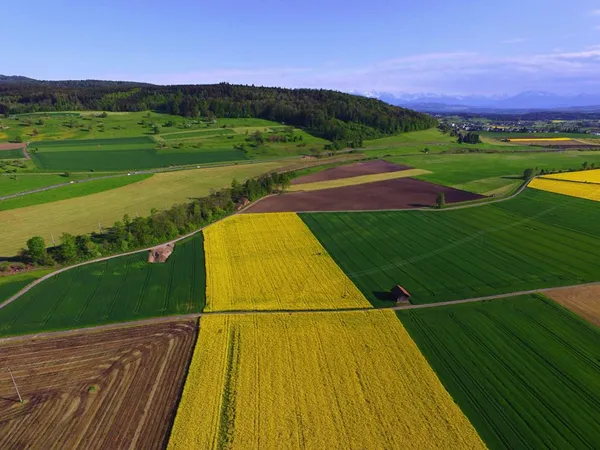 Terrain en individuel 172828 m² 