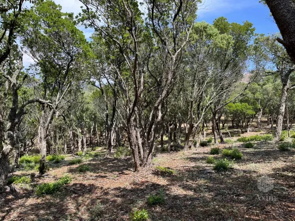 Terrain 25956 m² 