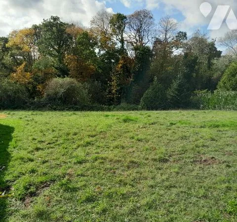 Terrain 1253 m² 