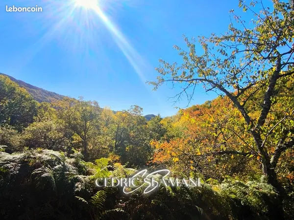 Terrain 1 729 m² Castans 