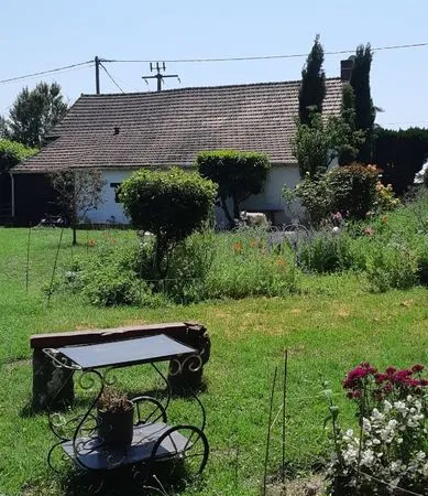 Maison pres de la forêt de tronçais 