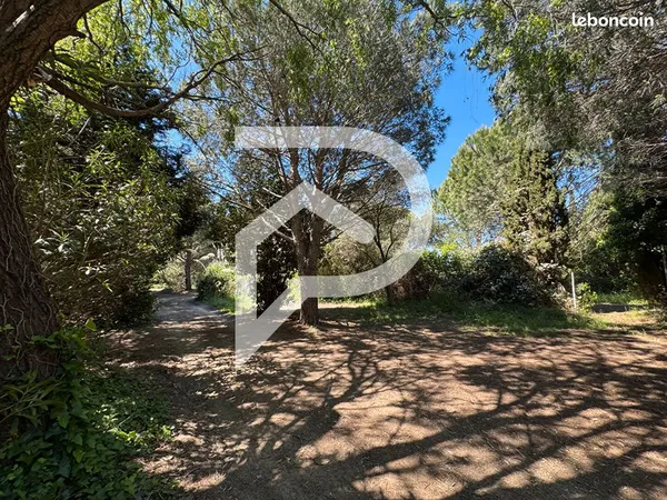 Terrain 28576 m² SAINT CYPRIEN 