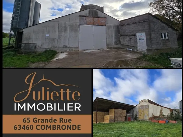 HANGAR SUR 4200m2 DE TERRAIN 