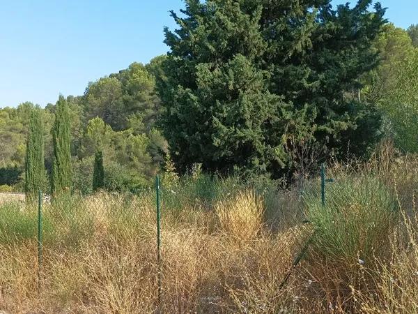 Terrain à bâtir 