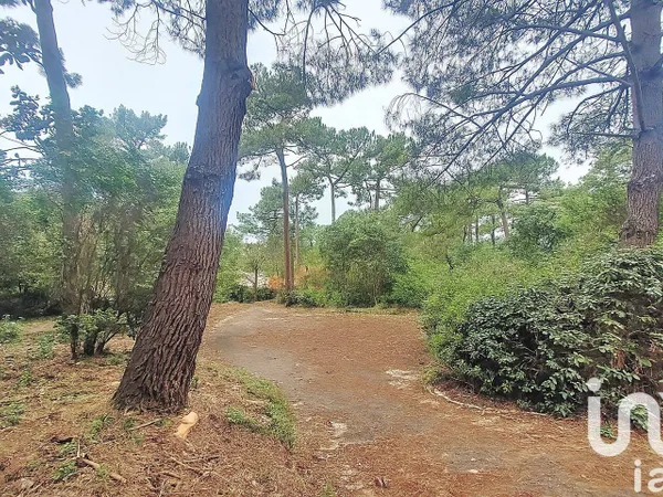 Propriété 240 m² 