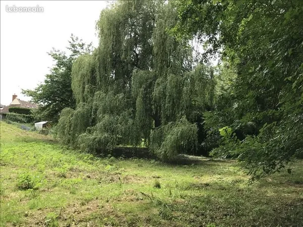 Terrain 3 000 m² Orbigny