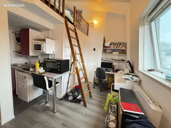 Duplex 1 pièce 15 m² 