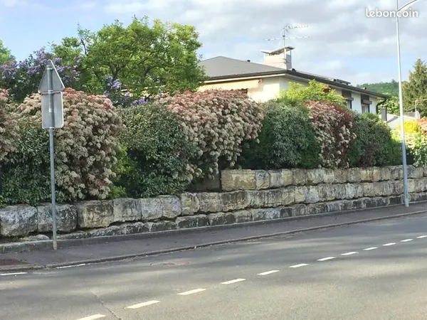 Maison 6 pièces 123 m² 