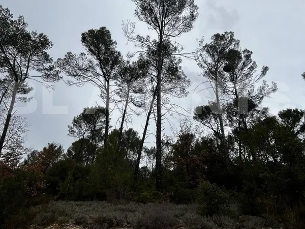 Terrain 5085 m² 