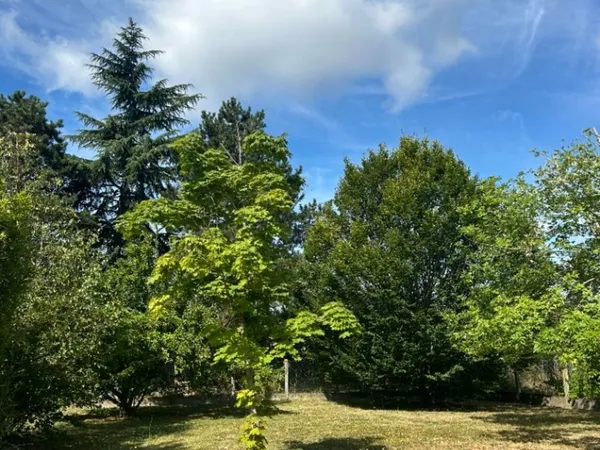 Terrain 380 m² 