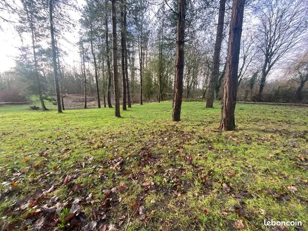 Terrain 3 000 m² Cremarest 