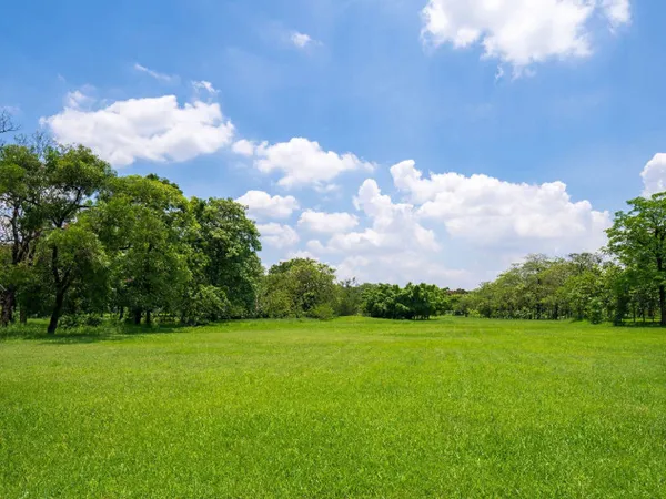 Terrain 810 m² 