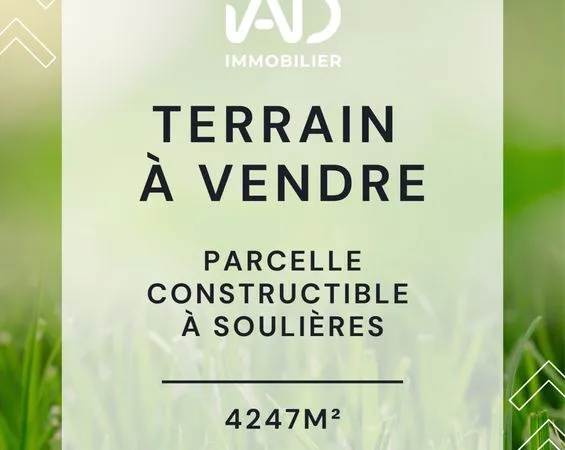 Terrain 4247 m² SOULIERES 