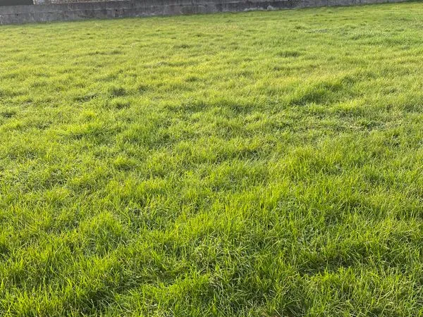 Terrain constructible 900 m2 